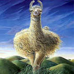 Llofty Llama